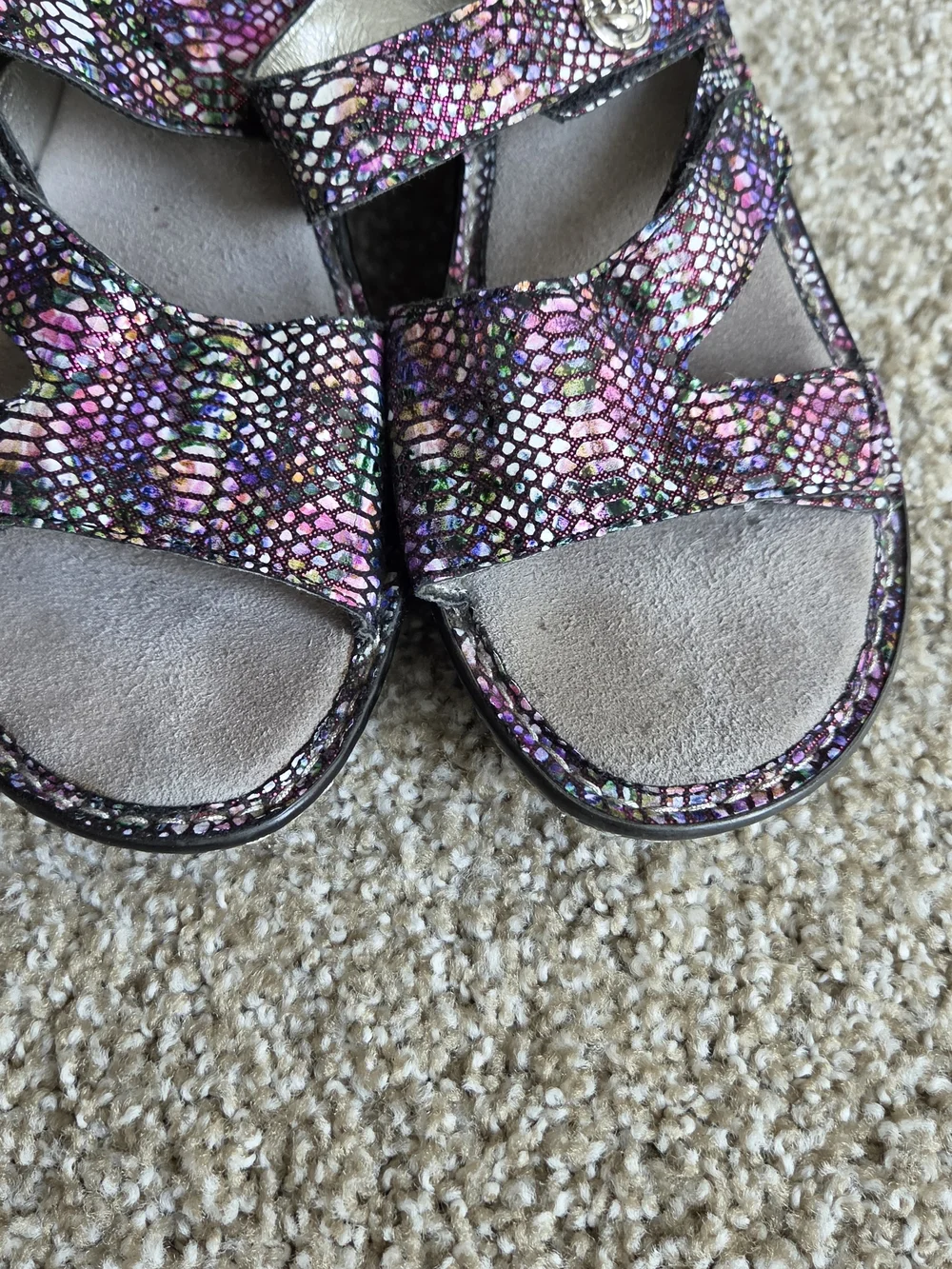 Alegria Multicolor Snake-Print Slip-On Sandals